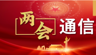 兩會(huì)通(tōng)信：問(wèn)道(dào)數(shù)字經濟之路(lù)